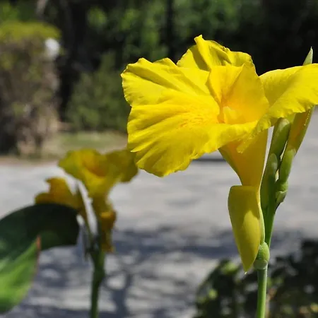 Apartment Annilena *